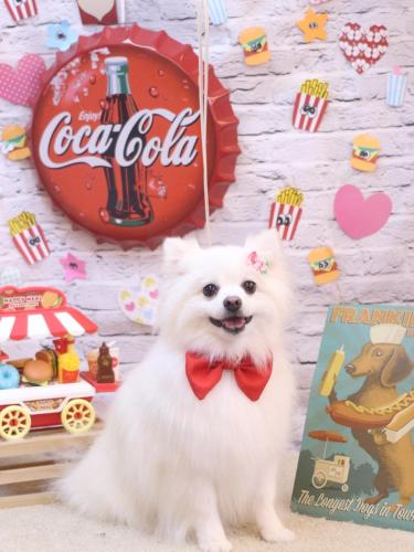 20230921ゆずちゃん